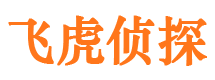 绿春市侦探调查公司